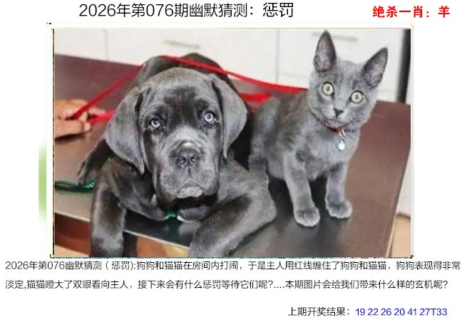 076期幽默猜测[图]